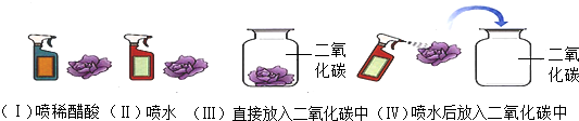 ��Ӣ�ҽ���