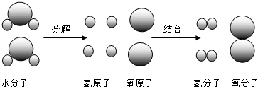��Ӣ�ҽ���