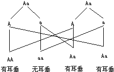 精英家教网