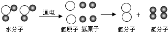��Ӣ�ҽ���