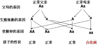 精英家教网