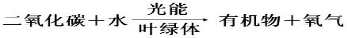 ��Ӣ�ҽ���