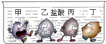 ��Ӣ�ҽ���