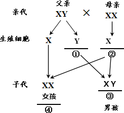 精英家教网