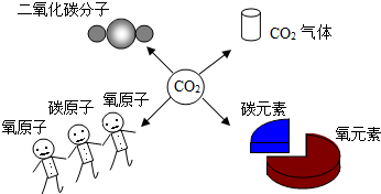 如图所示,小林对二氧化碳化学式表示的意义有如下四种理解,你认为不