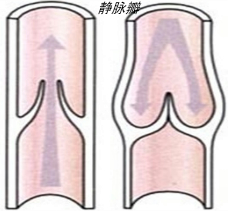 精英家教网