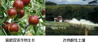 ��Ӣ�ҽ���