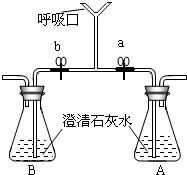 ��Ӣ�ҽ���