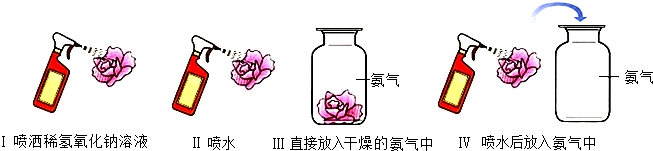 ��Ӣ�ҽ���