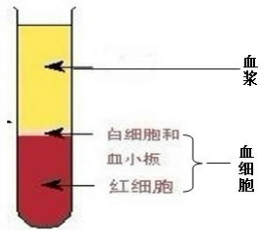 精英家教网