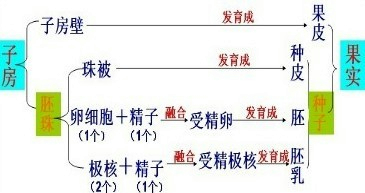 精英家教网