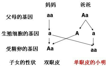 2013092519000860240562.png