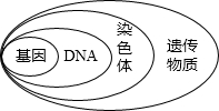 精英家教网