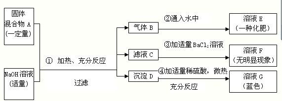 精英家教网