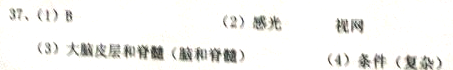 精英家教网