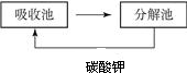 精英家教网
