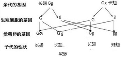 2013092519352184439037.png