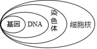 精英家教网