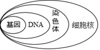 精英家教网