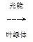 ��Ӣ�ҽ���