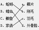 ��Ӣ�ҽ���