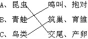 ��Ӣ�ҽ���