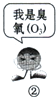 ��Ӣ�ҽ���