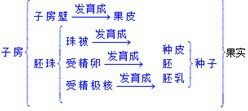 精英家教网
