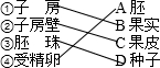 精英家教网