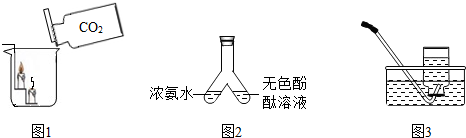 ��Ӣ�ҽ���