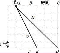 ��Ӣ�ҽ���