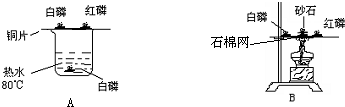 ��Ӣ�ҽ���