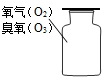 ��Ӣ�ҽ���