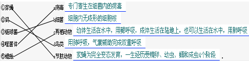 精英家教网