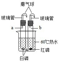精英家教网