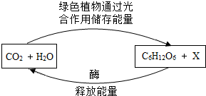 ��Ӣ�ҽ���