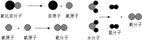 ��Ӣ�ҽ���