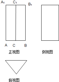 如圖為一個幾何體的三視圖,其中俯視圖為正三角形,a1b1=2,aa1=4,求該