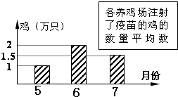 ��Ӣ�ҽ���