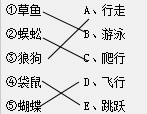 ��Ӣ�ҽ���