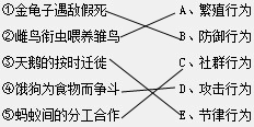 ��Ӣ�ҽ���
