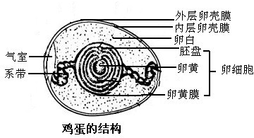 精英家教网