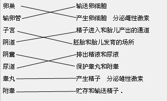 精英家教网