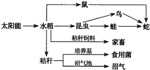 ħ����