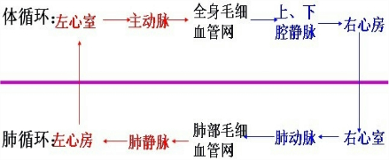 精英家教网