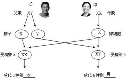 ��Ӣ�ҽ���