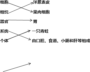 精英家教网