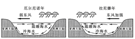 厄尔尼诺与拉尼娜现象是太平洋赤道附近海气相互作用出现异常的典型
