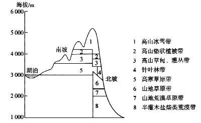 下图为东非肯尼亚山植被的垂直分带图