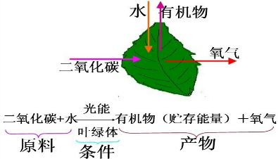 2014082514175860661890.png